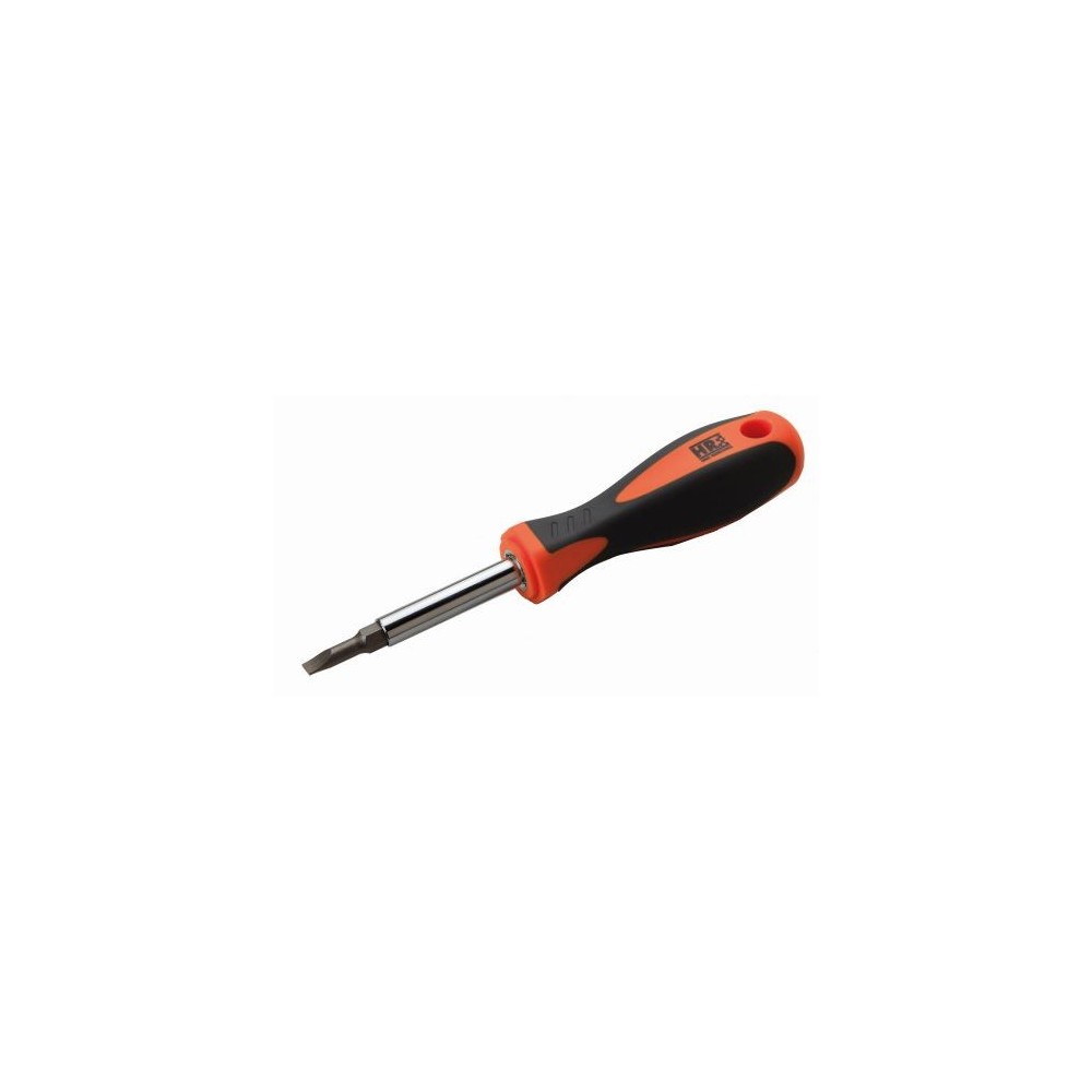 SET OF SCREWDRIVER HANDLE, ADAPTER ROD AND 2 HR DOUBLE BITS