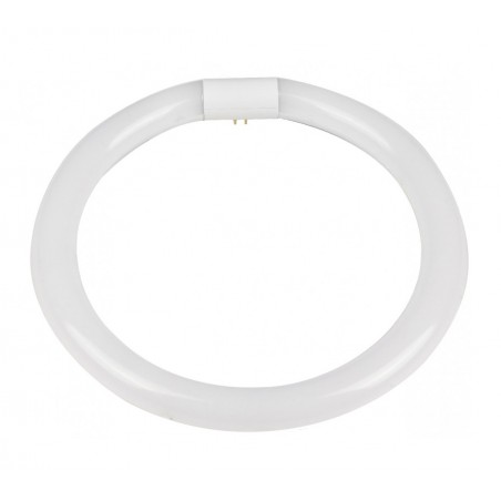 CIRCULAR TUBE LED 15 W 6500 K