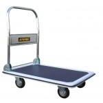 PLATFORM TROLLEY AY-300 KG