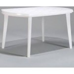 ELISE WHITE TABLE 137X90X74