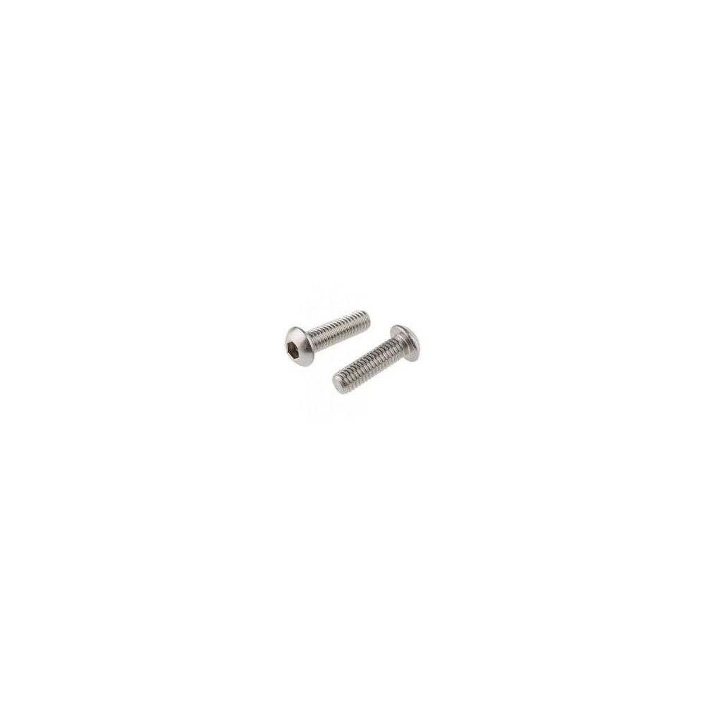 SCREW ISO 7380 A-2 M-6X20 HUNDRED