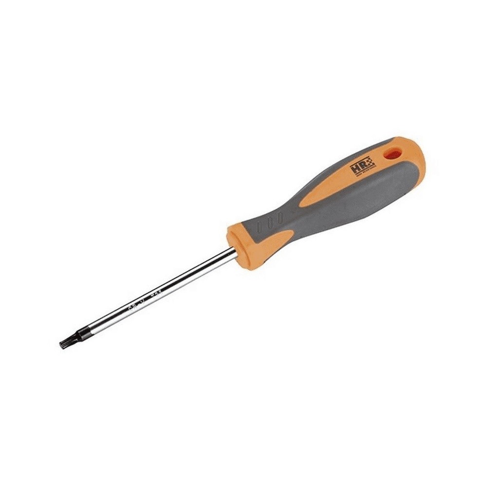 SCREWDRIVER TORX HR T40x125