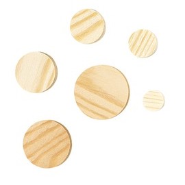 PACK 10 Ø30MM FLAT PINS