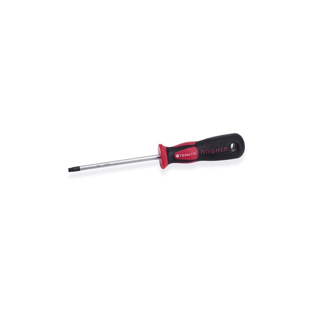 SCREWDRIVER PROF. S2 TORX SEG TS15X80