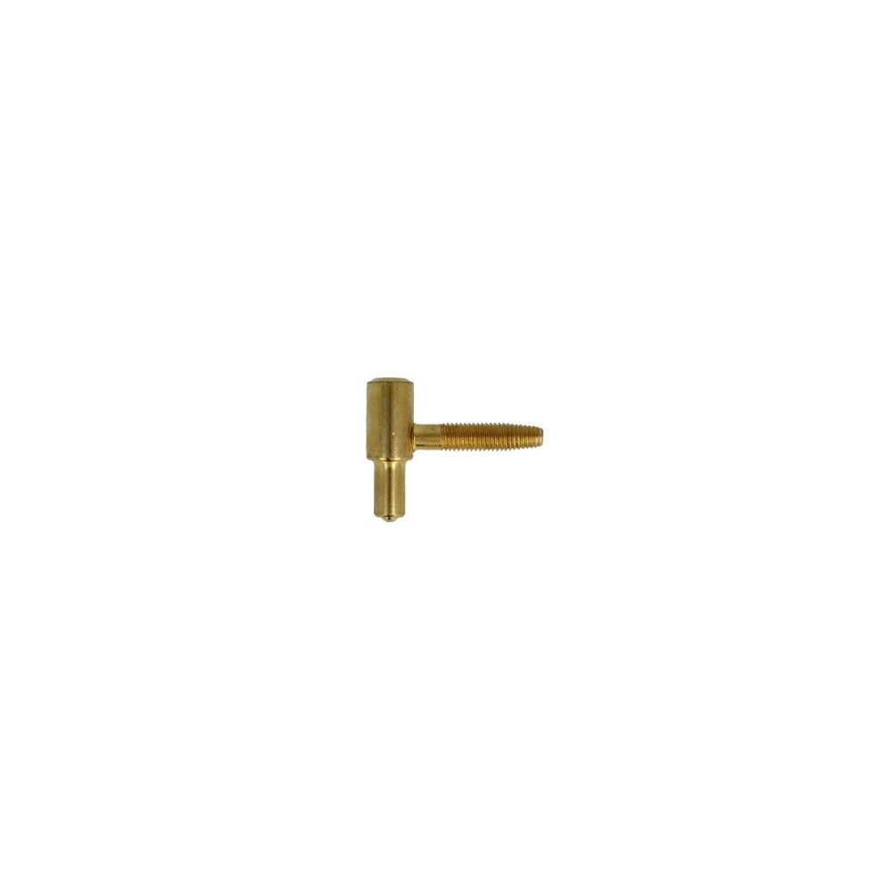 BOLT 20-11X40 H. BRASS PLATED