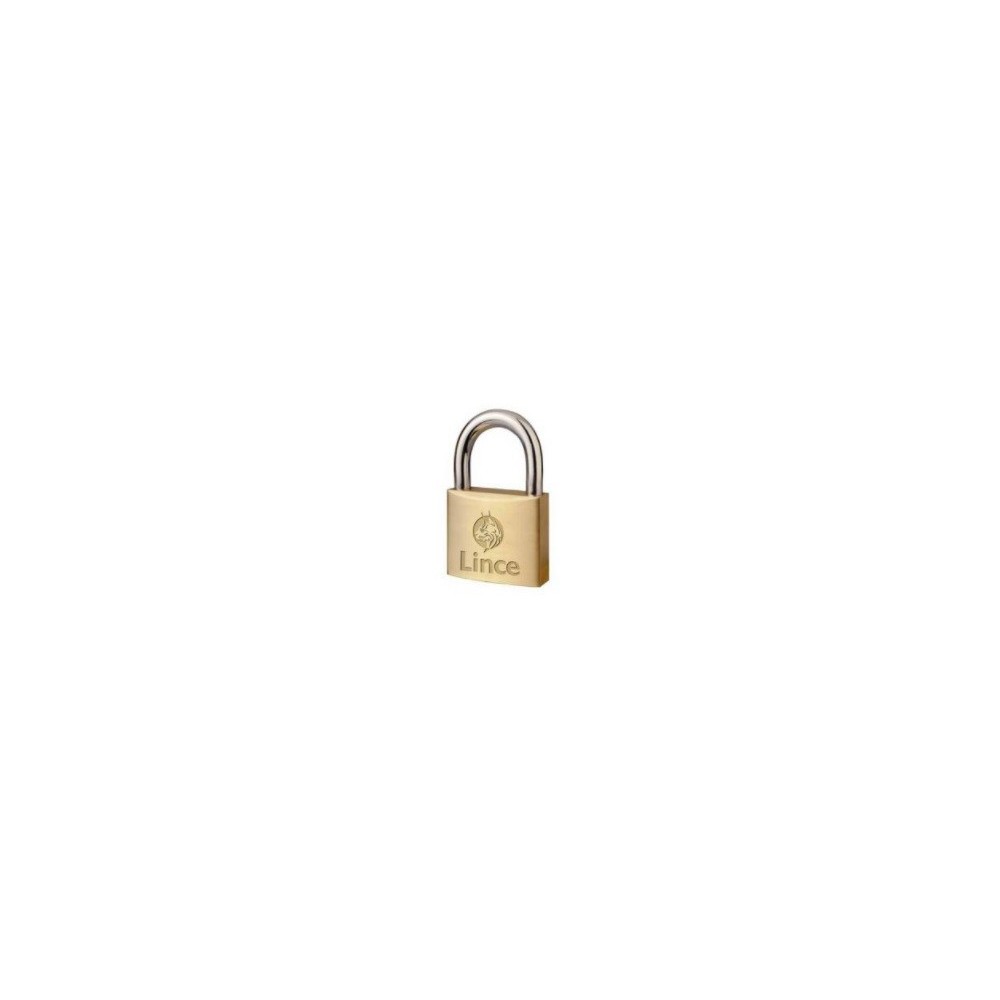 PADLOCK 300 50