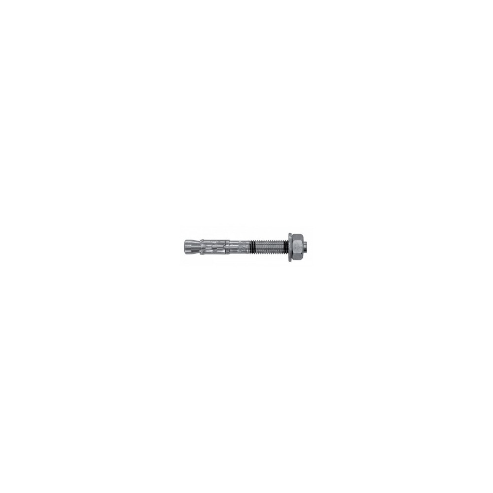 ANCHOR INTER INOX. AISI 304 PLUG + INOX SCREW